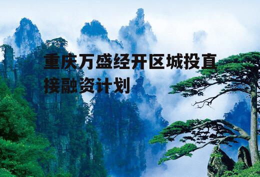 重庆万盛经开区城投直接融资计划