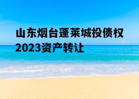山东烟台蓬莱城投债权2023资产转让