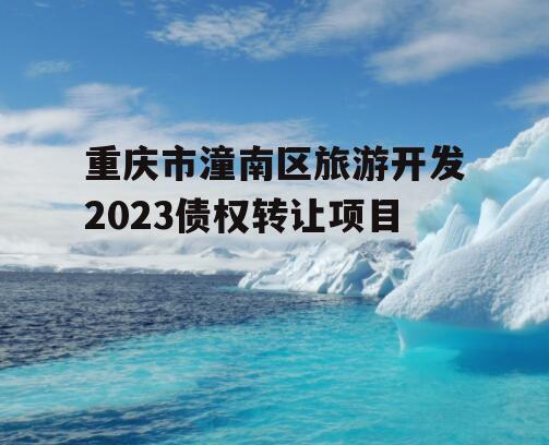 重庆市潼南区旅游开发2023债权转让项目