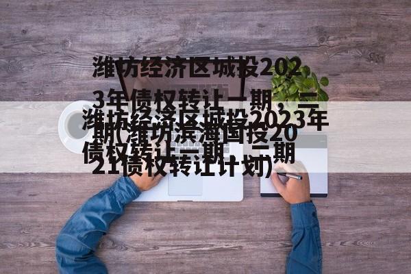 潍坊经济区城投2023年债权转让一期，二期(潍坊滨海国投2021债权转让计划)