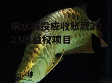 响水城投应收账款2023收益权项目
