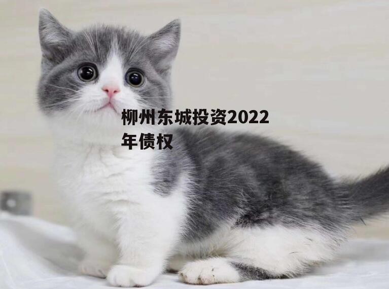 柳州东城投资2022年债权