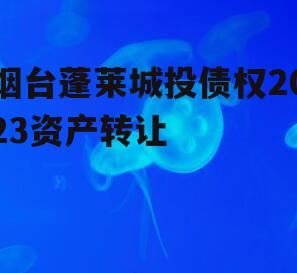 烟台蓬莱城投债权2023资产转让