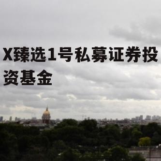X臻选1号私募证券投资基金