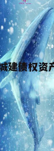 酉阳城建债权资产项目