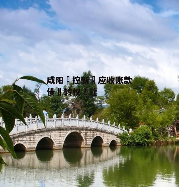 咸阳‮控新‬应收账款债‮转权‬让
