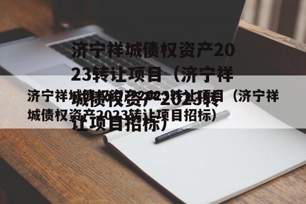 济宁祥城债权资产2023转让项目（济宁祥城债权资产2023转让项目招标）
