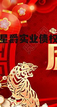江苏星爵实业债权拍卖01