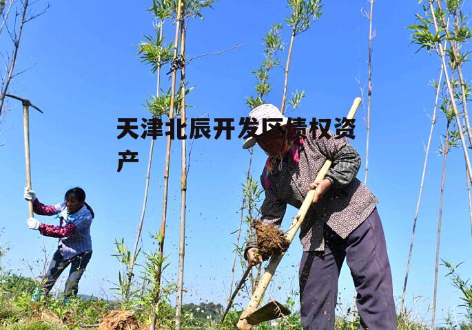天津北辰开发区债权资产