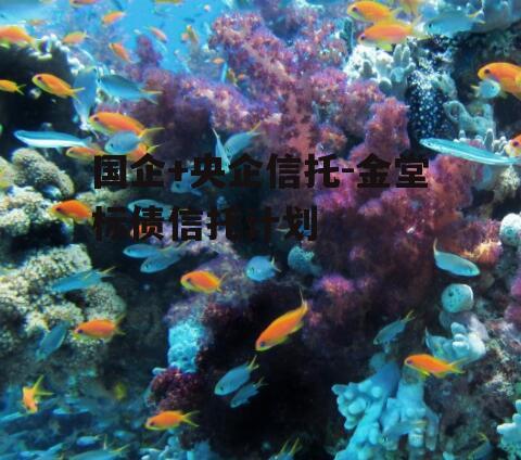 国企+央企信托-金堂标债信托计划