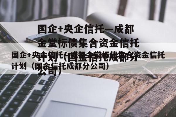 国企+央企信托—成都金堂标债集合资金信托计划（国金信托成都分公司）
