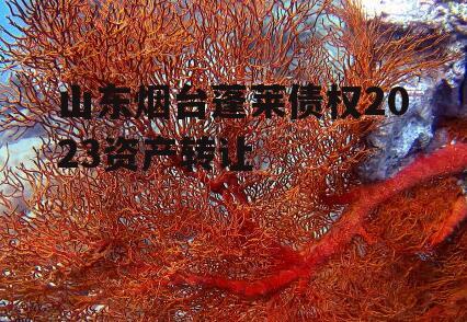 山东烟台蓬莱债权2023资产转让