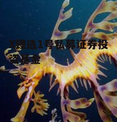 X臻选1号私募证券投资基金