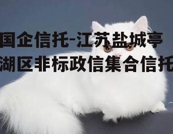 国企信托-江苏盐城亭湖区非标政信集合信托
