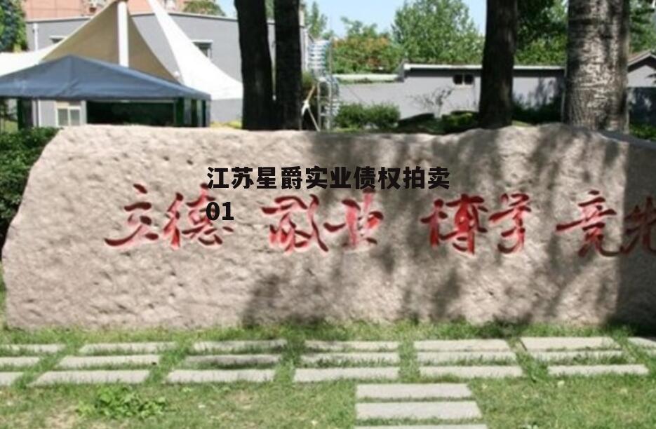 江苏星爵实业债权拍卖01