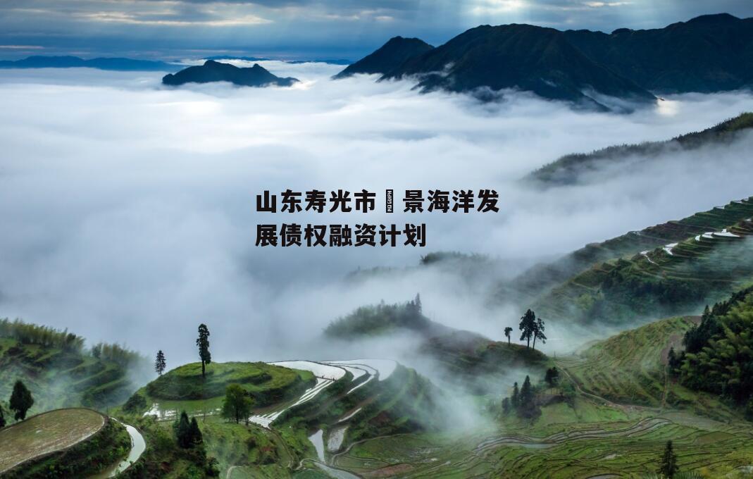 山东寿光市昇景海洋发展债权融资计划