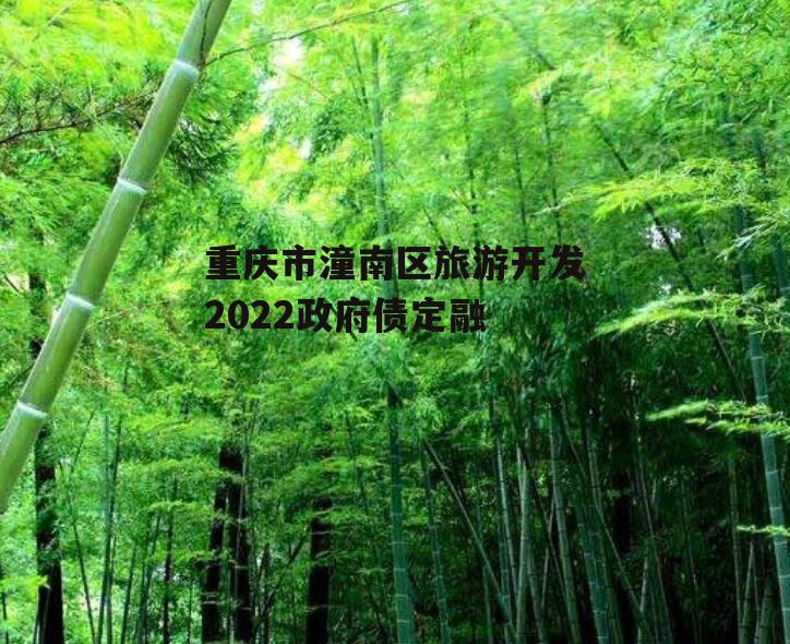重庆市潼南区旅游开发2022政府债定融