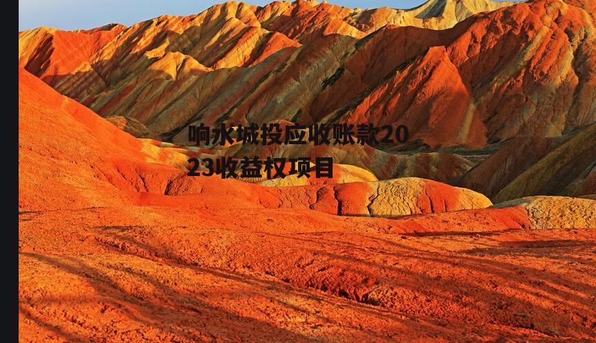 响水城投应收账款2023收益权项目