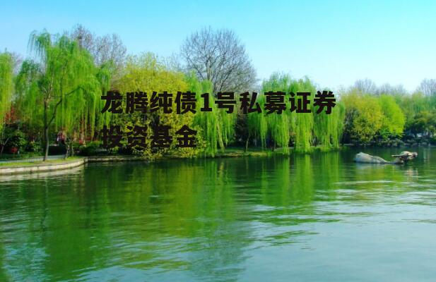 龙腾纯债1号私募证券投资基金