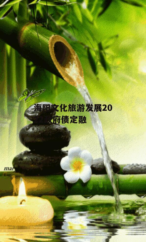 海阳文化旅游发展2022政府债定融