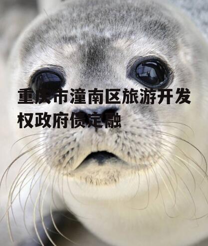 重庆市潼南区旅游开发权政府债定融