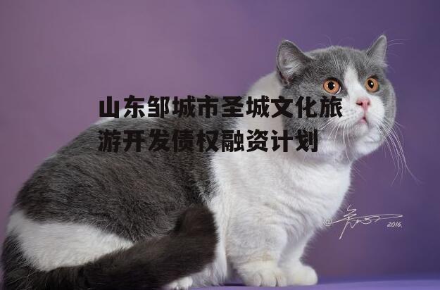 山东邹城市圣城文化旅游开发债权融资计划
