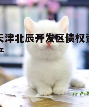 天津北辰开发区债权资产
