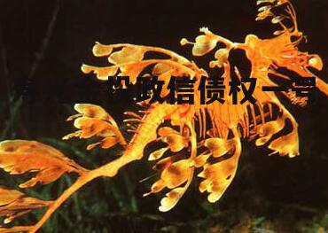 寿光金投政信债权一号