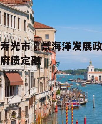 寿光市昇景海洋发展政府债定融