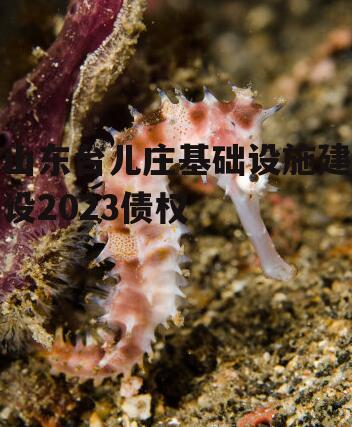 山东台儿庄基础设施建设2023债权