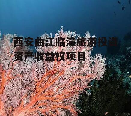 西安曲江临潼旅游投资资产收益权项目