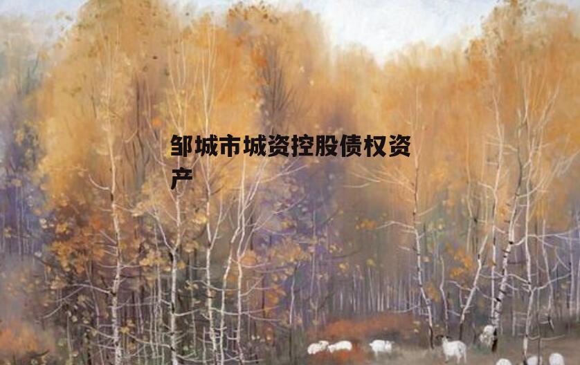 邹城市城资控股债权资产