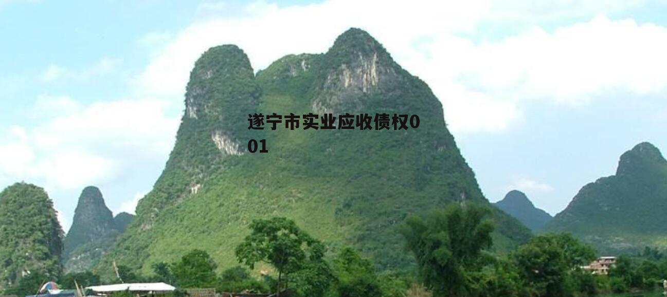 遂宁市实业应收债权001