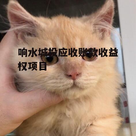 响水城投应收账款收益权项目
