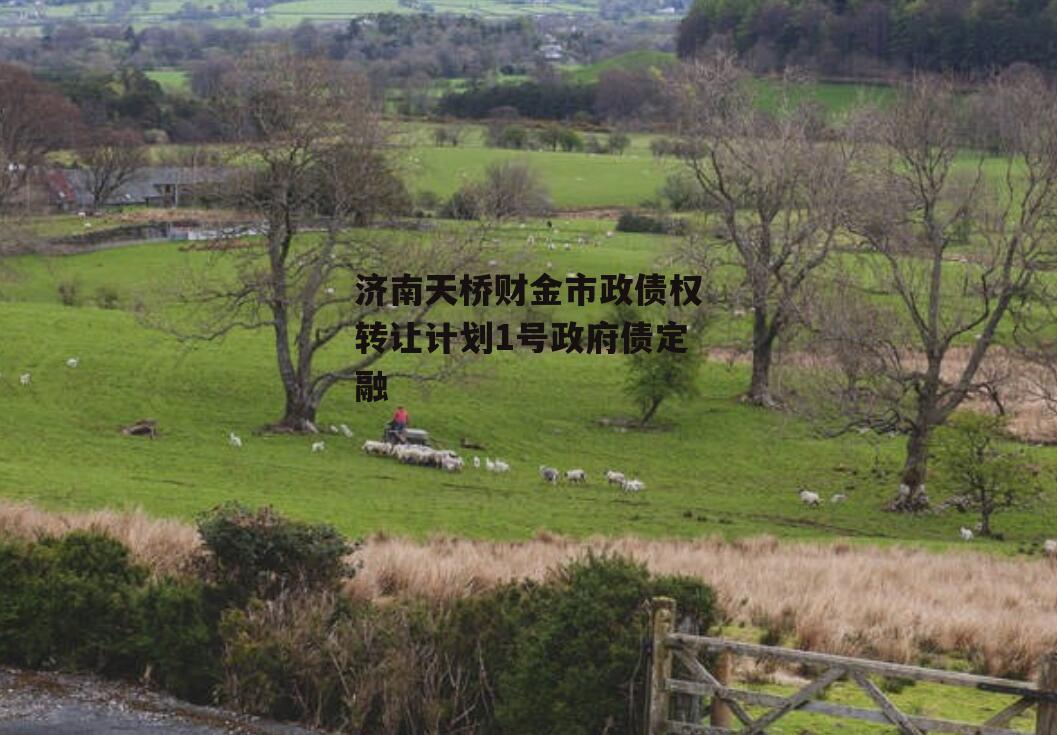 济南天桥财金市政债权转让计划1号政府债定融