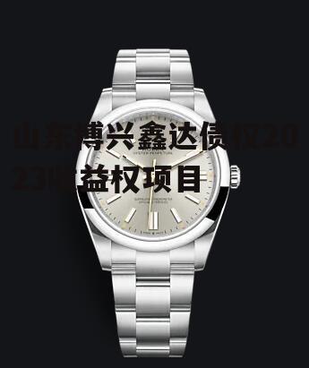 山东博兴鑫达债权2023收益权项目