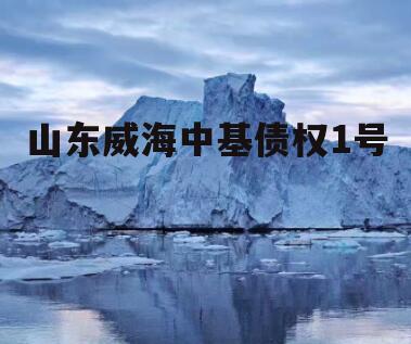 山东威海中基债权1号