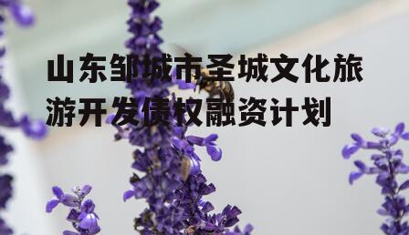 山东邹城市圣城文化旅游开发债权融资计划