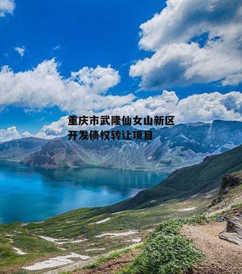 重庆市武隆仙女山新区开发债权转让项目