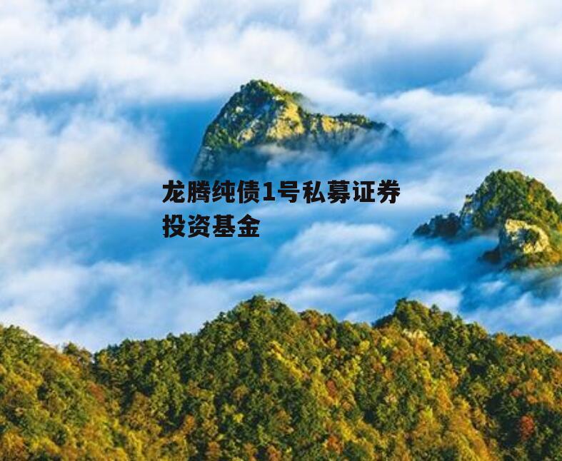 龙腾纯债1号私募证券投资基金