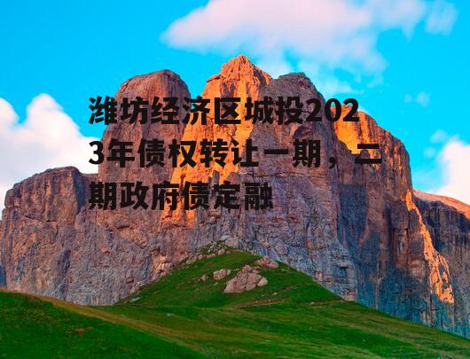 潍坊经济区城投2023年债权转让一期，二期政府债定融