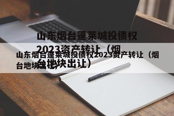山东烟台蓬莱城投债权2023资产转让（烟台地块出让）