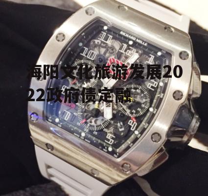 海阳文化旅游发展2022政府债定融