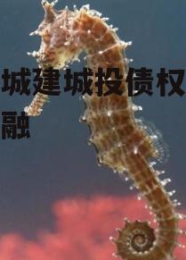齐河城建城投债权政府债定融