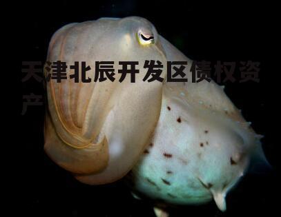 天津北辰开发区债权资产