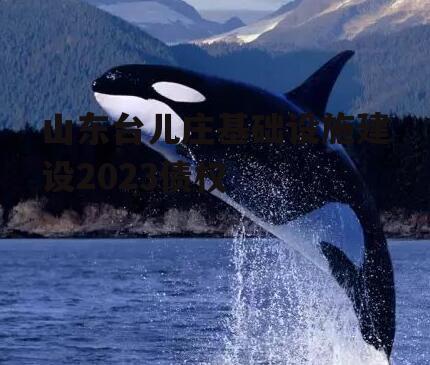 山东台儿庄基础设施建设2023债权