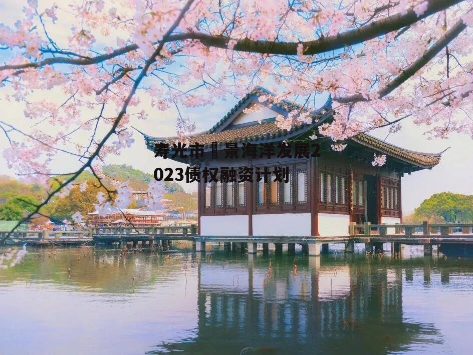 寿光市昇景海洋发展2023债权融资计划