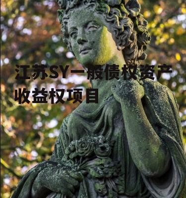 江苏SY一般债权资产收益权项目