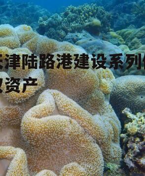 天津陆路港建设系列债权资产