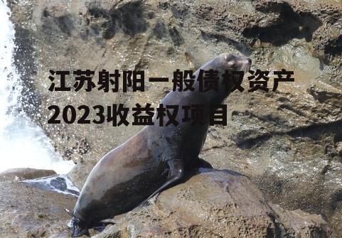 江苏射阳一般债权资产2023收益权项目